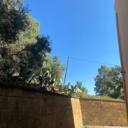 Al Ficus Αγκριτζέντο